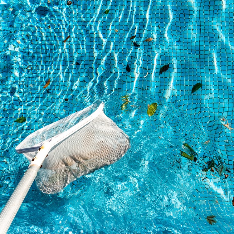 Pool services in Arlington, TX